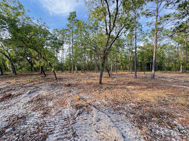 SW Anchor Blvd, Dunnellon, FL 34431 - photo 7
