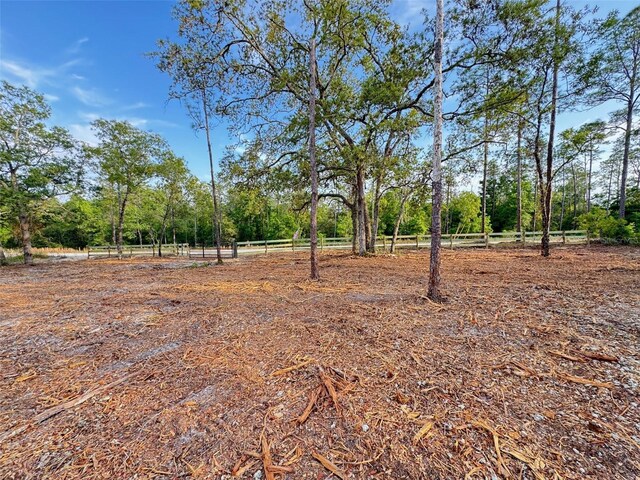 SW Anchor Blvd, Dunnellon, FL 34431 - photo 8