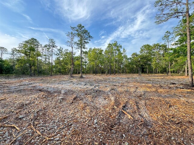 SW Anchor Blvd, Dunnellon, FL 34431 - photo 9