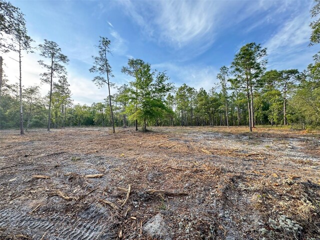SW Anchor Blvd, Dunnellon, FL 34431 - photo 10