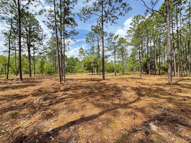 SW Deerpark Heights Rd, Dunnellon, FL 34431