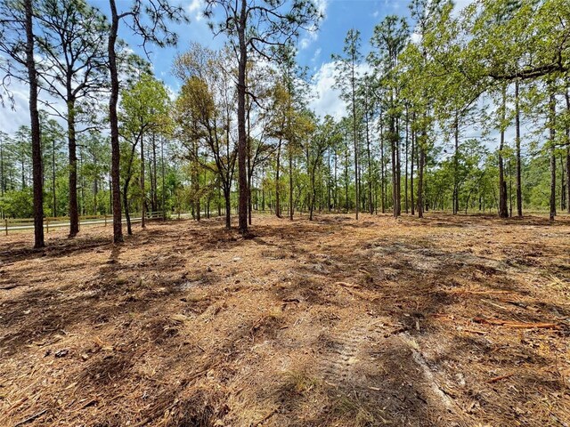 SW Deerpark Heights Rd, Dunnellon, FL 34431