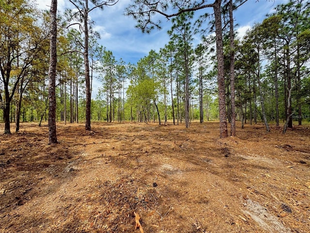 SW Deerpark Heights Rd, Dunnellon, FL 34431