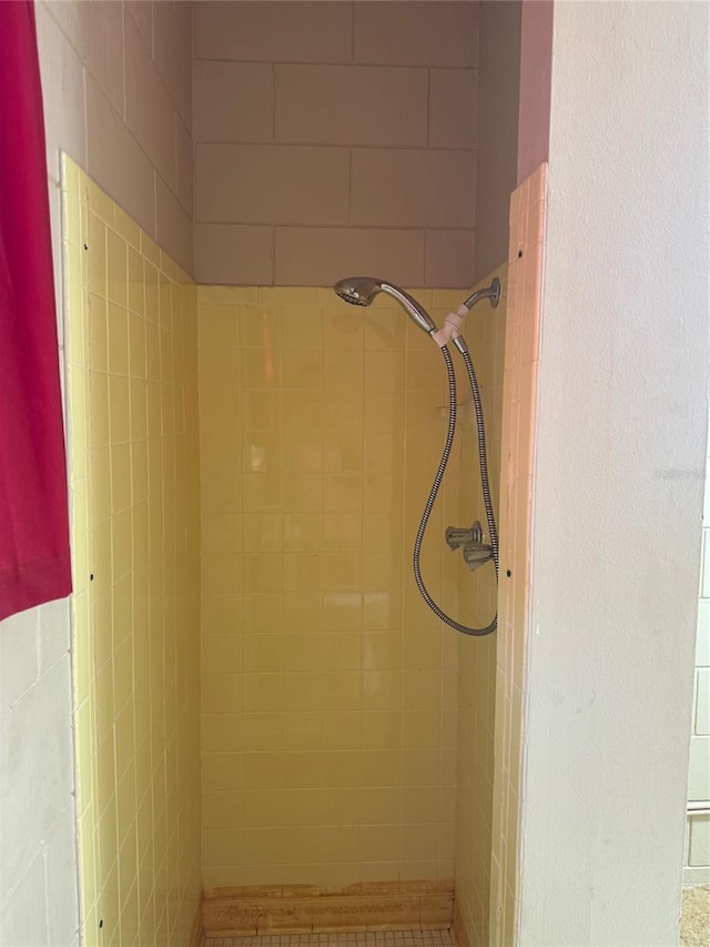 interior details featuring tiled shower