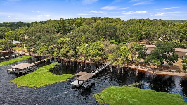 drone / aerial view with a water view and a wooded view