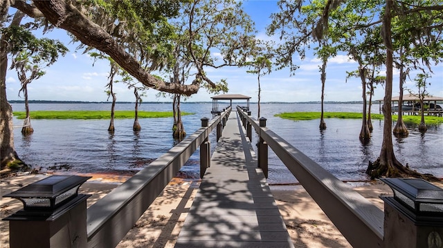 dock area with a water view