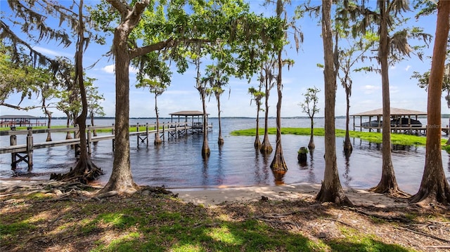 water view featuring boat lift and a dock