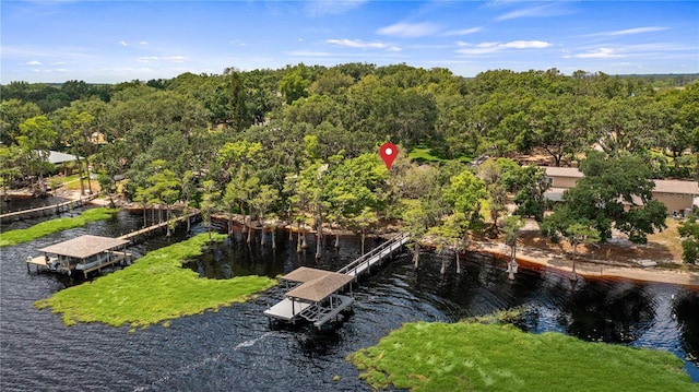 bird's eye view featuring a view of trees and a water view