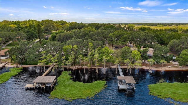 bird's eye view with a water view and a forest view