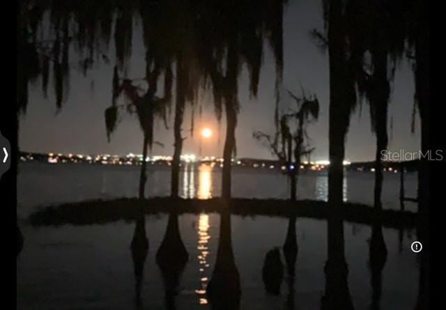 12104 Elbert St, Clermont, FL 34711 - water view