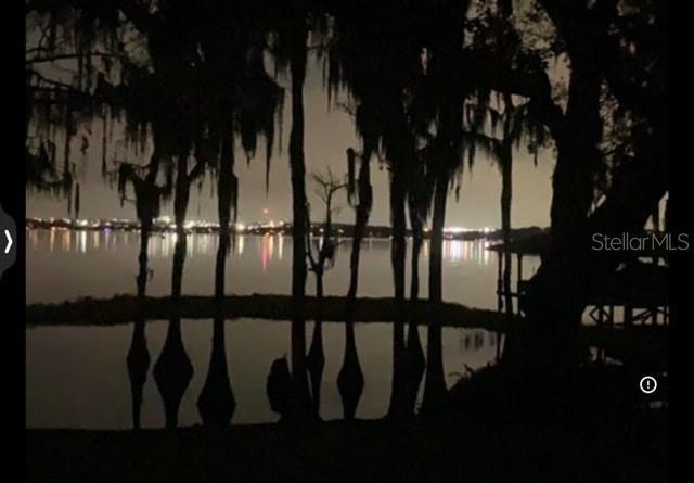 12104 Elbert St, Clermont, FL 34711 - water view