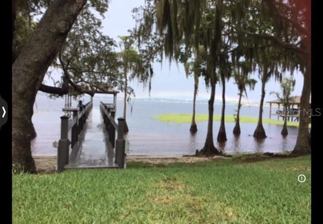 12104 Elbert St, Clermont, FL 34711 - water view