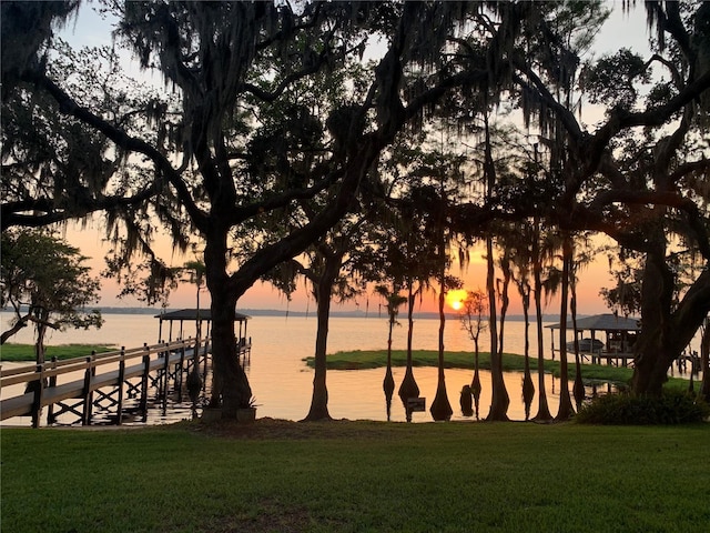 12104 Elbert St, Clermont, FL 34711 - water view