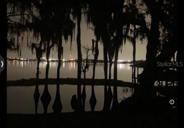 12104 Elbert St, Clermont, FL 34711 - water view