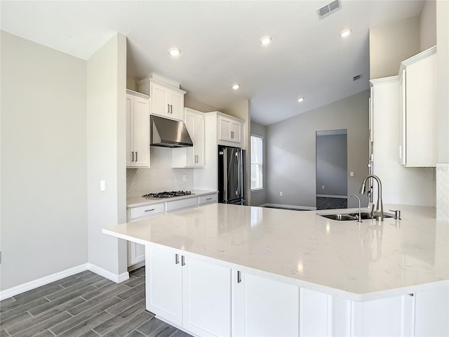 kitchen featuring appliances with stainless steel finishes, under cabinet range hood, a sink, decorative backsplash, and vaulted ceiling