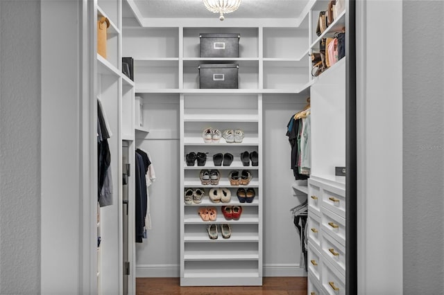 walk in closet featuring dark wood-style flooring