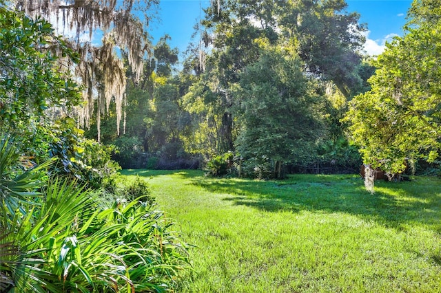 SE 157th St, Umatilla, FL 32784 - photo 1