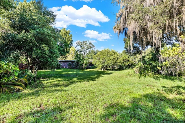 SE 157th St, Umatilla, FL 32784 - photo 2