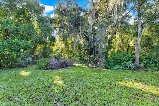 SE 157th St, Umatilla, FL 32784 - photo 3