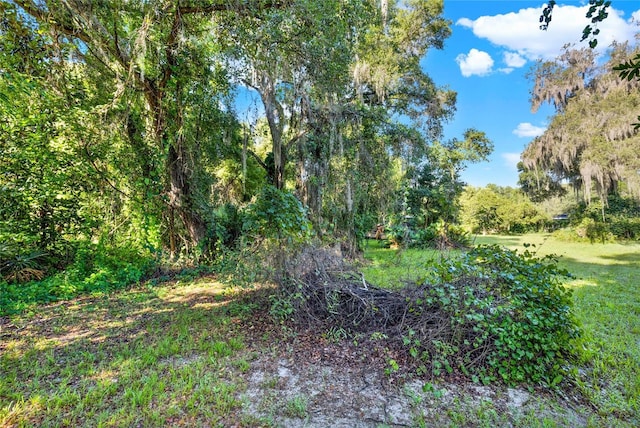 SE 157th St, Umatilla, FL 32784 - photo 4