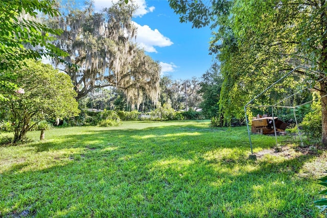 SE 157th St, Umatilla, FL 32784 - photo 5