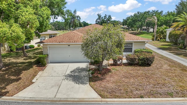 705 Grand Vista Trl, Leesburg, FL 34748 - view of front facade with a garage, a shingled roof, stucco siding, and driveway