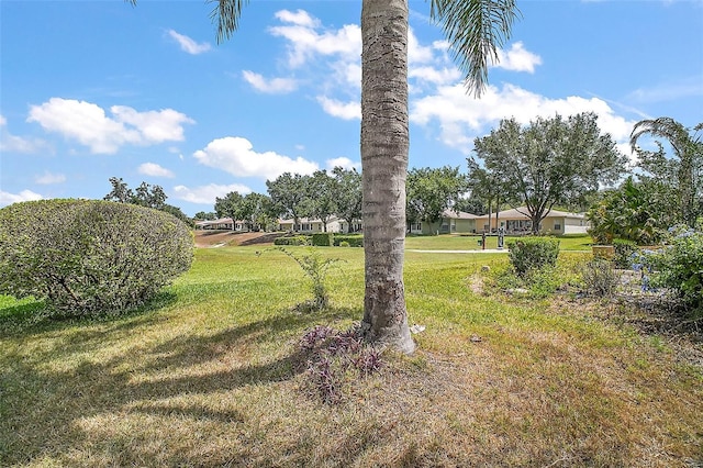 705 Grand Vista Trl, Leesburg, FL 34748 - view of yard