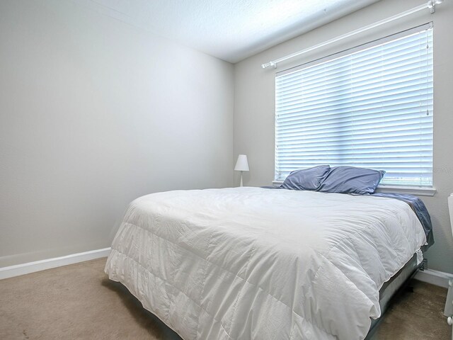 3775 Brantley Place Cir, Apopka, FL 32703 - bedroom with carpet floors and baseboards