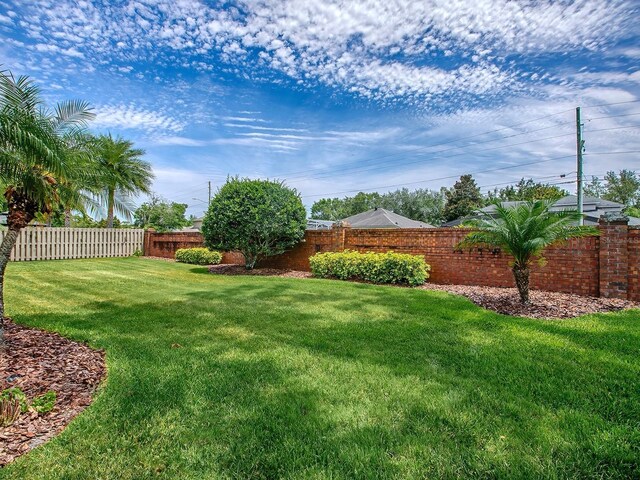 3775 Brantley Place Cir, Apopka, FL 32703 - view of yard