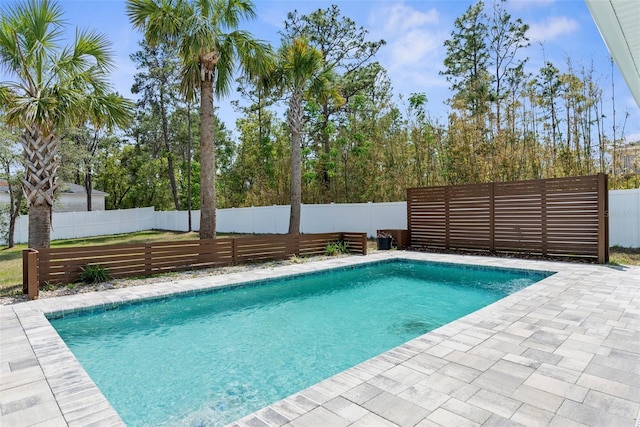 11344 Gallinule Ave, Weeki Wachee, FL 34613 - view of pool featuring a fenced in pool, a fenced backyard, and a patio area