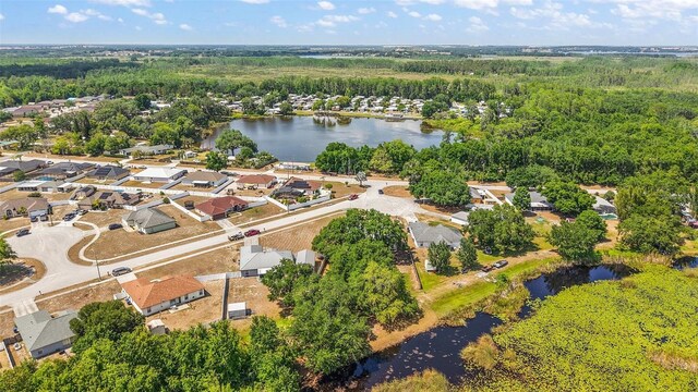 529 Ed Douglas Rd, Groveland, FL 34736 - photo 6