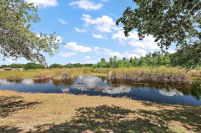 529 Ed Douglas Rd, Groveland, FL 34736 - photo 29