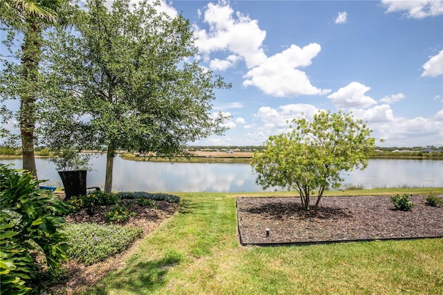 8664 Bridgeport Bay Cir, Mount Dora, FL 32757 - water view