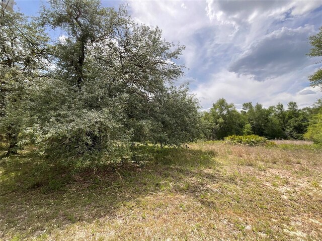 34331 Rim Rock St, Webster, FL 33597