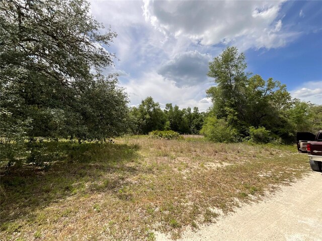 34331 Rim Rock St, Webster, FL 33597