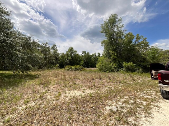 34331 Rim Rock St, Webster, FL 33597
