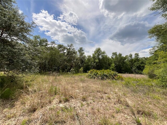 34331 Rim Rock St, Webster, FL 33597