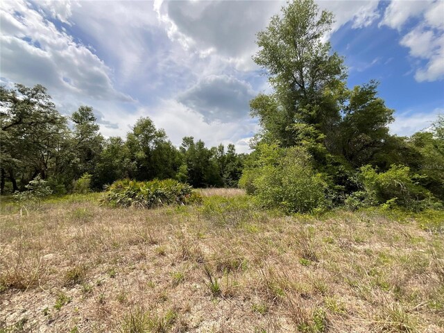 34331 Rim Rock St, Webster, FL 33597