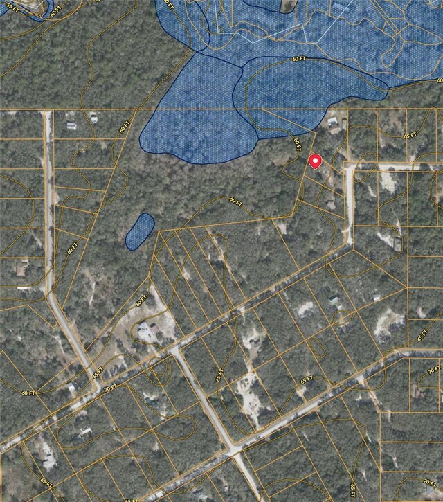 34331 Rim Rock St, Webster, FL 33597