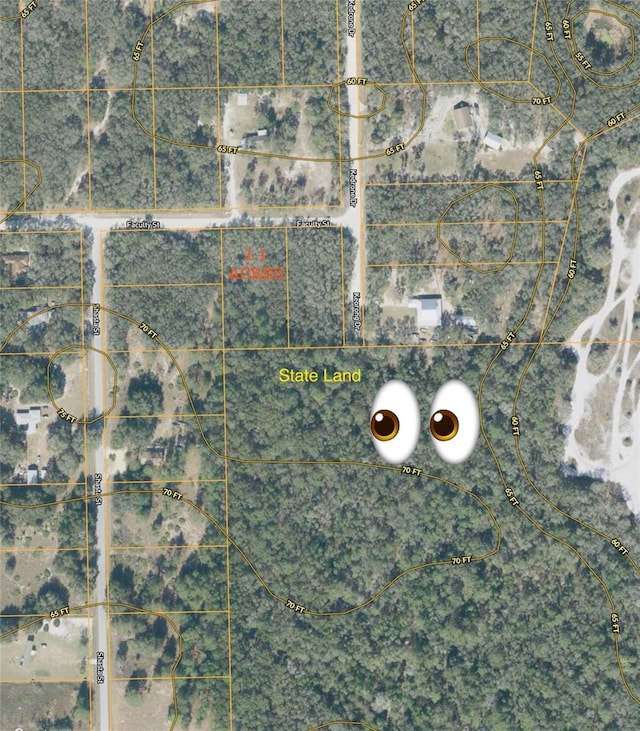 Faculty St, Webster, FL 33597