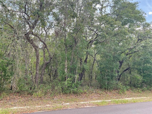 Faculty St, Webster, FL 33597