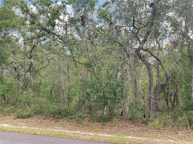 Faculty St, Webster, FL 33597