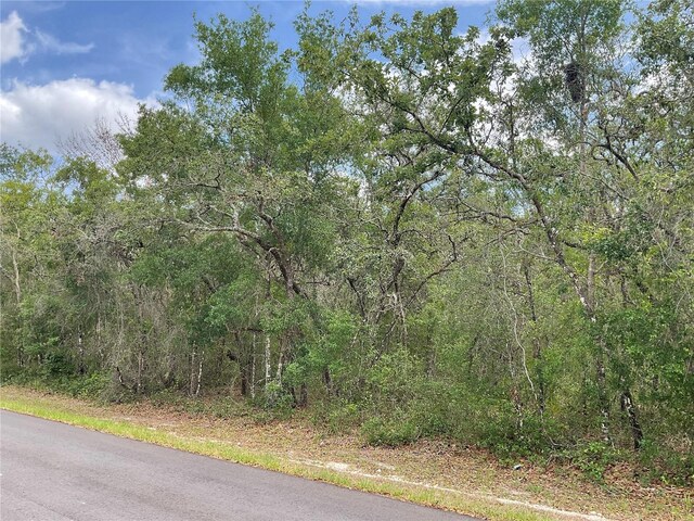 Faculty St, Webster, FL 33597