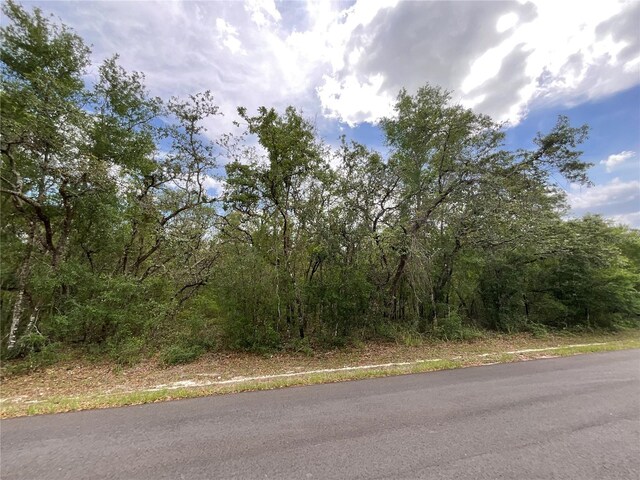 Faculty St, Webster, FL 33597
