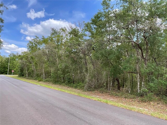 Faculty St, Webster, FL 33597