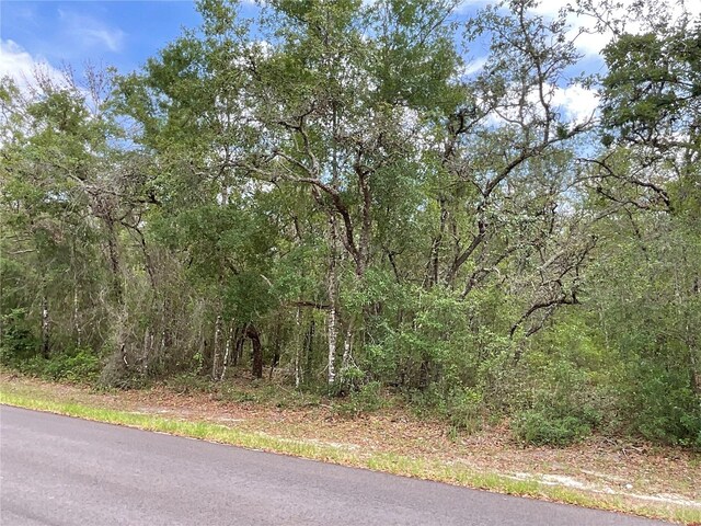 Faculty St, Webster, FL 33597