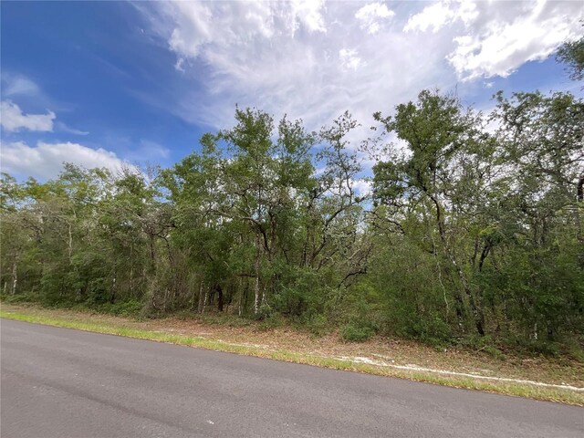 Faculty St, Webster, FL 33597