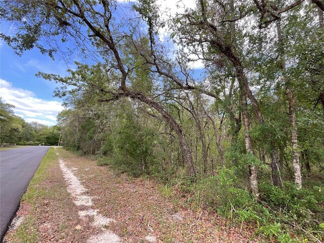 Faculty St, Webster, FL 33597
