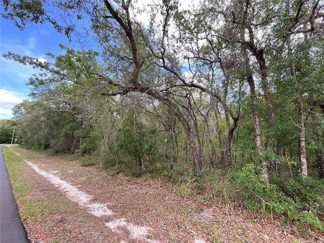 Faculty St, Webster, FL 33597