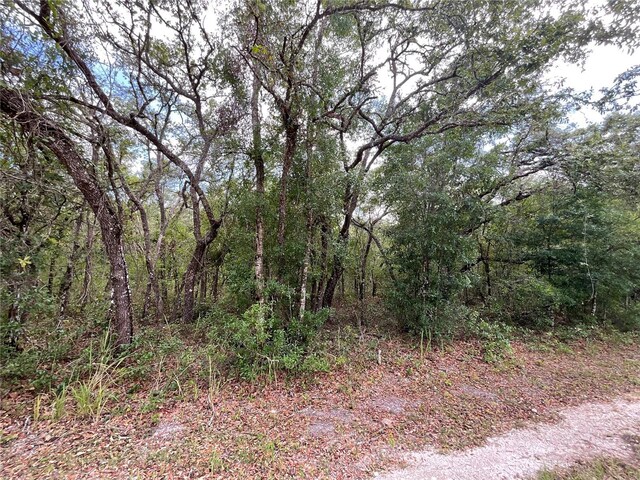 Faculty St, Webster, FL 33597